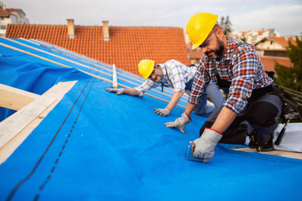 Best Roof Leak Repair  in Estes Park, CO